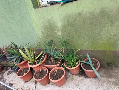 IMG20220618115551