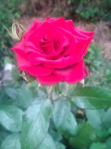 IMG20220619205858