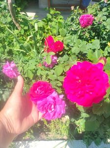 IMG20220620111319