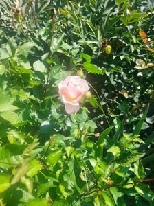IMG20220620111035