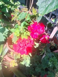IMG20220620110346