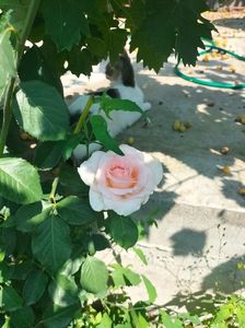 IMG20220621111419