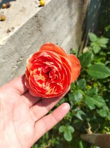 IMG20220621111319