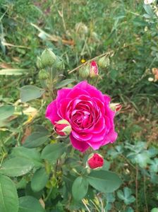 IMG20220621193234