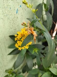 IMG20220626122045