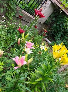IMG20220626114536