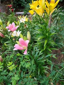 IMG20220626114524