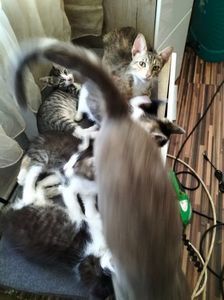 IMG20220629101722