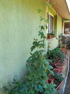 IMG20220629101523