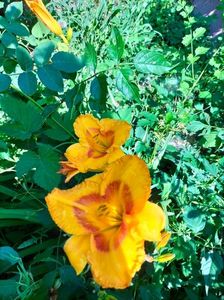 IMG20220630103213