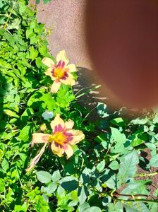 IMG20220701100917
