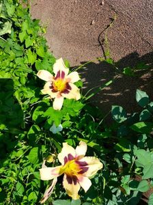 IMG20220701100913