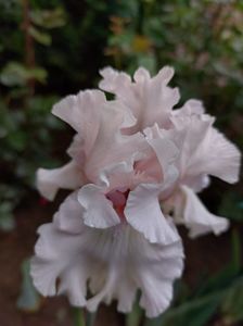 IMG-20220701-WA0181