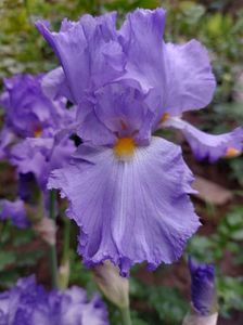 IMG-20220701-WA0178