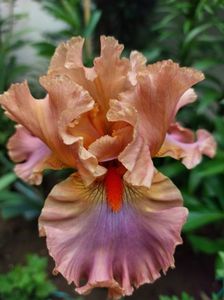 IMG-20220701-WA0168
