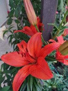 IMG-20220701-WA0035