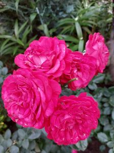 IMG-20220701-WA0052