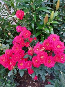 IMG-20220701-WA0054