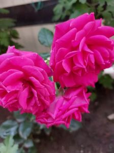 IMG-20220701-WA0060
