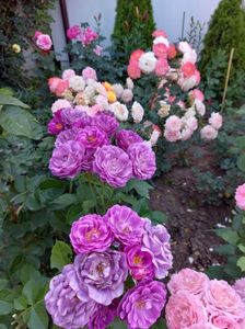 IMG-20220701-WA0072