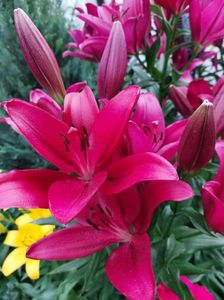 IMG-20220701-WA0074