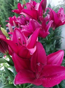 IMG-20220701-WA0077