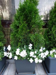 IMG-20220701-WA0091