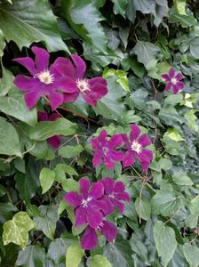 IMG-20220701-WA0093