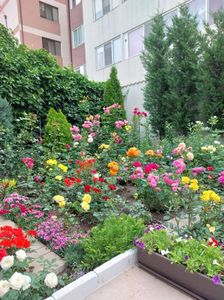 IMG-20220701-WA0112