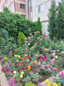 IMG-20220701-WA0113