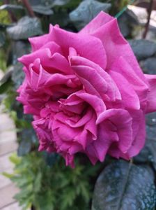 IMG-20220701-WA0129