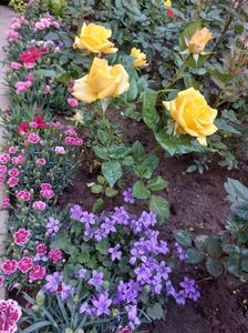 IMG-20220701-WA0138