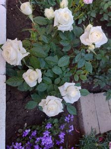 IMG-20220701-WA0139