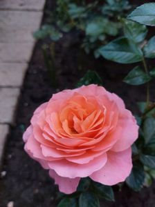 IMG-20220701-WA0140