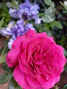 IMG-20220701-WA0157