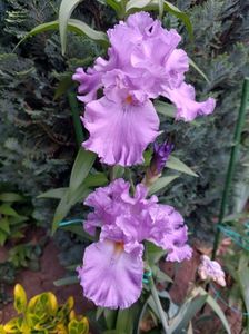 IMG-20220701-WA0158