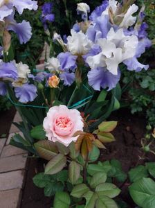 IMG-20220701-WA0186