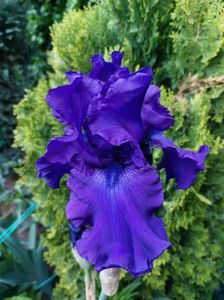 IMG-20220701-WA0190