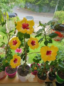 received_1146290182768302