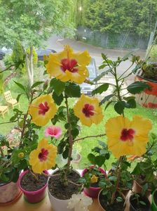 received_1254632665301761