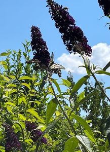 C4692247-D870-45E8-979B-20D838BBB721