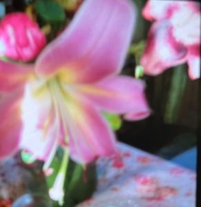 C664EED7-D93F-4CE0-9CCE-53248CC54776