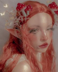 ⊹˖⁺✧ autumn fairy ✧⁺˖⊹