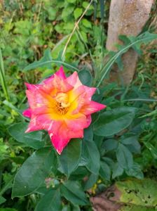 IMG20220704092033