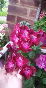 received_766044954807349