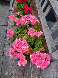 received_345787864430527