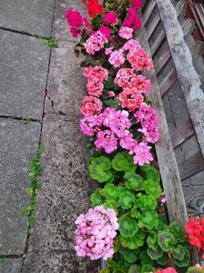 received_413516487389379