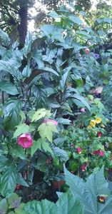 received_3308502039474079