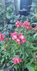 received_1168801777232655