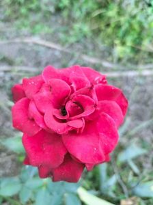 IMG20220710201238